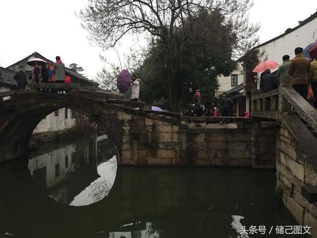 春雨直播app